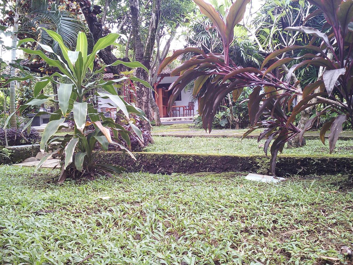 Madra Homestay Ubud Buitenkant foto